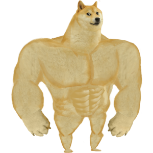  D.O.G.E. 