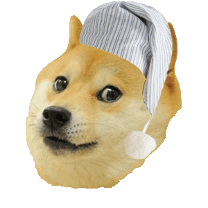  D.O.G.E. 