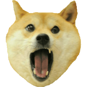  D.O.G.E. 