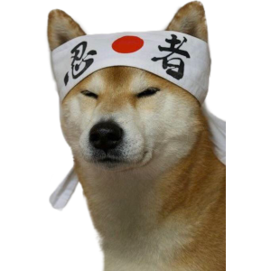  D.O.G.E. 