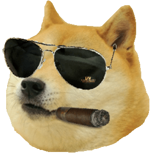  D.O.G.E. 