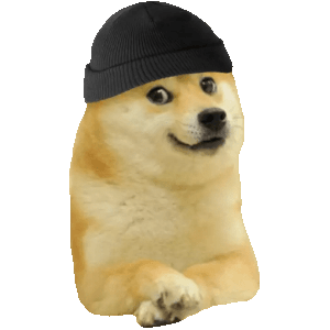  D.O.G.E. 