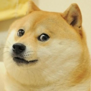  D.O.G.E. 