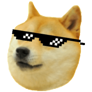  D.O.G.E. 