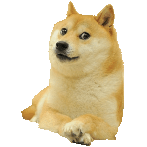  D.O.G.E. 
