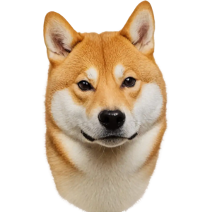  D.O.G.E. 