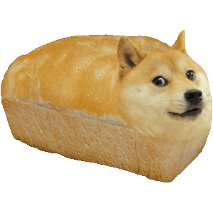  D.O.G.E. 