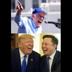  Meme Potential 