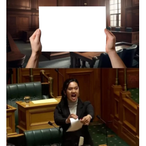  New Zealand politician 