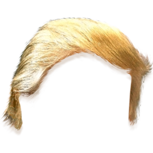  Donald J.Trump 