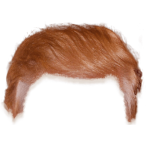  Donald J.Trump 