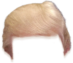  Donald J.Trump 