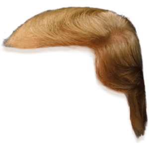  Donald J.Trump 