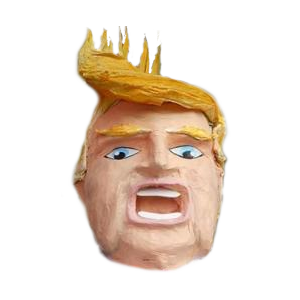  Donald J.Trump 