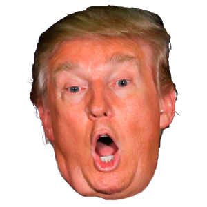 Donald J.Trump 