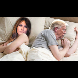  Donald J.Trump 