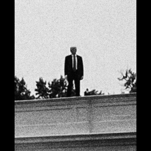  Donald J.Trump 