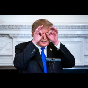  Donald J.Trump 