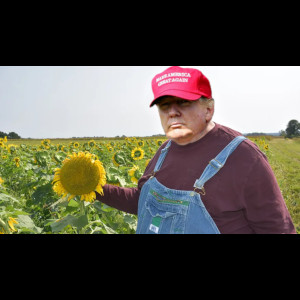  Donald J.Trump 
